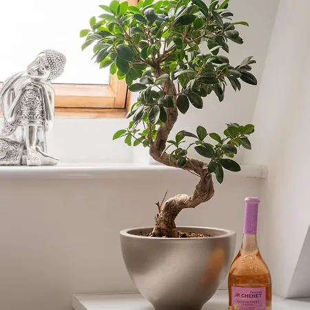 In Ko Obrzeg Near Seaside Appartement Kołobrzeg