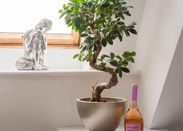 In Ko Obrzeg Near Seaside Appartamento Kołobrzeg